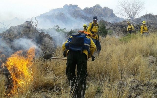 Sonora registra hasta ahora 14 incendios forestales Sonora registra hasta ahora 14 incendios forestales