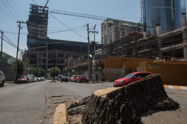 Mitikah sí tenía los permisos para talar 54 árboles Vuelven a protestar vecinos de Xoco por la construcción del megaproyecto inmobiliario Mitikah