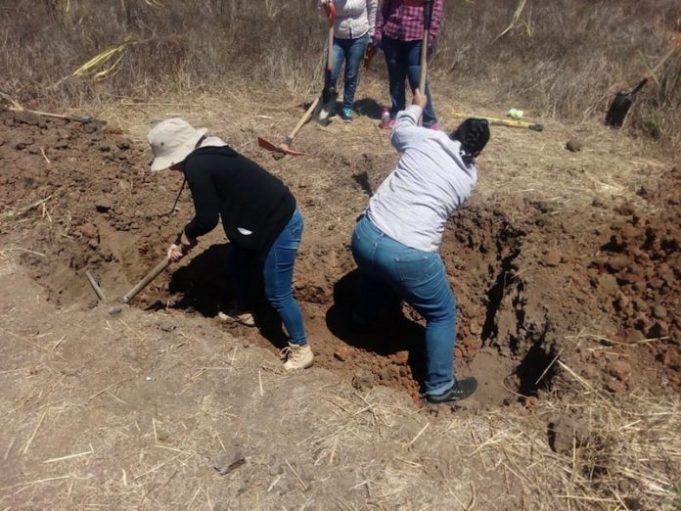Más de 50 cuerpos han sido encontrados por el colectivo