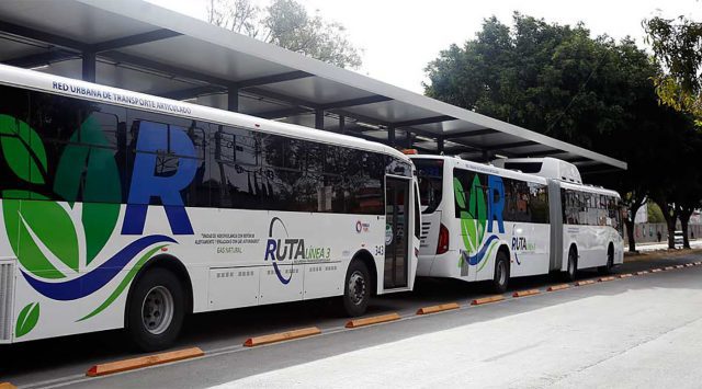 Habrá unidades de RUTA solo para mujeres en Puebla