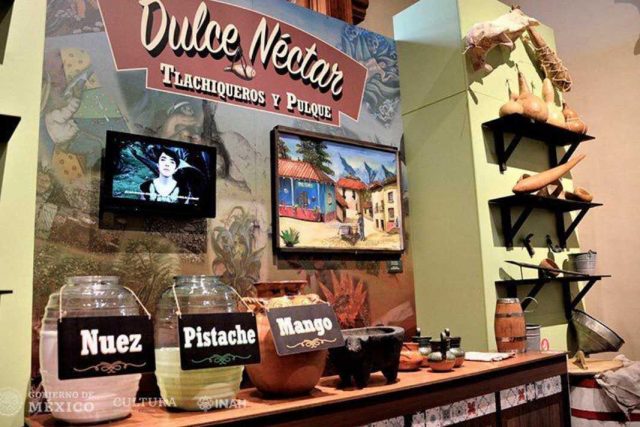 Destacan la importancia del maguey en la exposición «Dulce néctar. Tlachiqueros y pulque» Destacan la importancia del maguey en la exposición «Dulce néctar. Tlachiqueros y pulque»