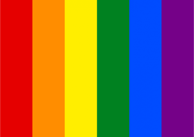 Codhem celebra aprobación de matrimonio igualitario
