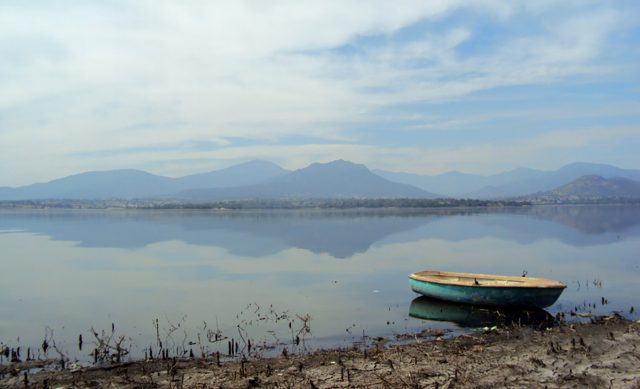 Declaran emergencia ambiental en presa den Hidalgo Milenio - Declaran emergencia ambiental en presa den Hidalgo