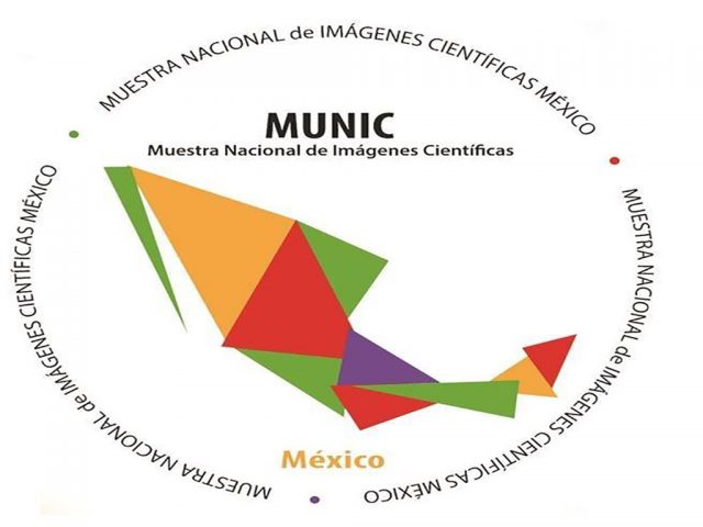 Alistan la Muestra Nacional de Imágenes Científicas 2019 Cineastas - Alistan la Muestra Nacional de Imágenes Científicas 2019