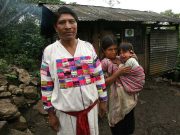 Lengüicidio en México pone en riesgo 31 lenguas indígenas: Inali Lengüicidio en México pone en riesgo 31 lenguas indígenas: Inali