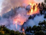 Ya son 3 incendios forestales en menos de una semana en Gran Canaria Al menos 4 mil personas han sido evacuadas