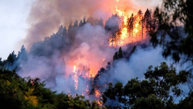 Ya son 3 incendios forestales en menos de una semana en Gran Canaria Al menos 4 mil personas han sido evacuadas