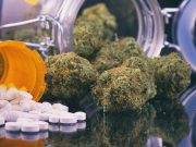 Desabasto y cannabis, preocupación de la Cofepris
