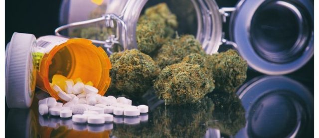 Desabasto y cannabis, preocupación de la Cofepris