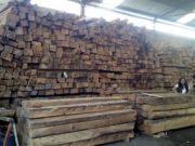 Aseguran más de 500 toneladas de madera extraída ilegalmente