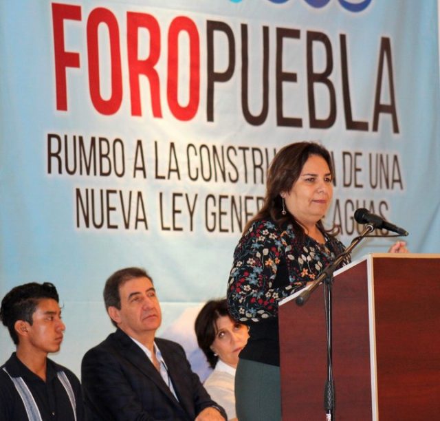 Se deben impulsar proyectos ambientales: Manrique Guevara