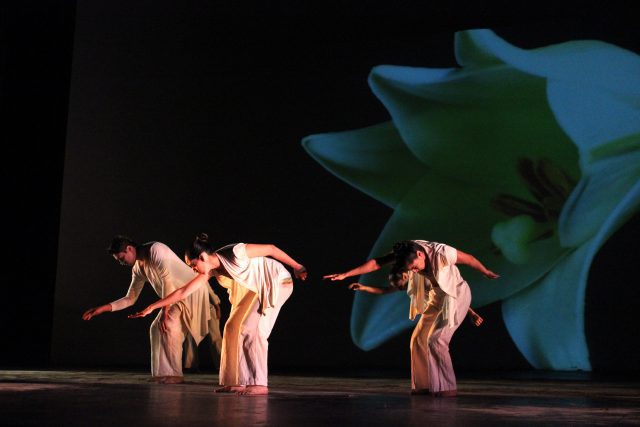Compañía de Danza del Estado de México se presentará en el XVII Festival de las Almas Cultura Jalisco - Compañía de Danza del Estado de México se presentará en el XVII Festival de las Almas