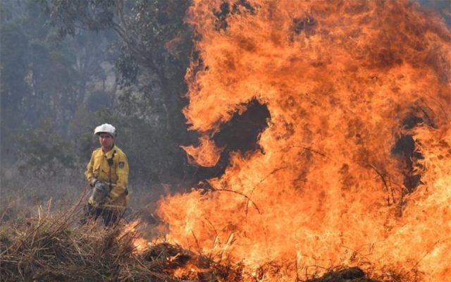 Piden a Australia declarar emergencia climática El periódico - Piden a Australia declarar emergencia climática