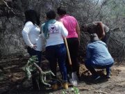 Hallan Madres Buscadoras de Puerto Peñasco 13 cuerpos junto a carretera a Caborca La mayoría de los restos encontrados eran osamentas: podría haber dos mujeres entre ellos