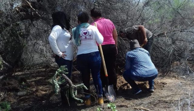 Hallan Madres Buscadoras de Puerto Peñasco 13 cuerpos junto a carretera a Caborca La mayoría de los restos encontrados eran osamentas: podría haber dos mujeres entre ellos