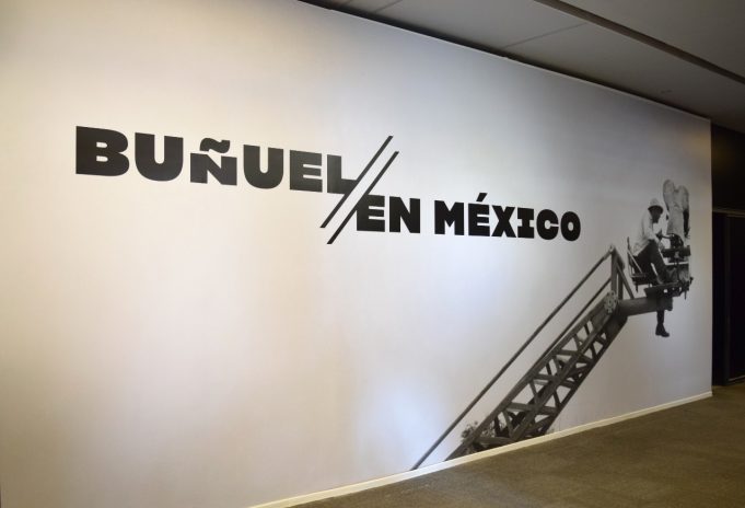La exposición estará disponible hasta el mes de abril de 2020