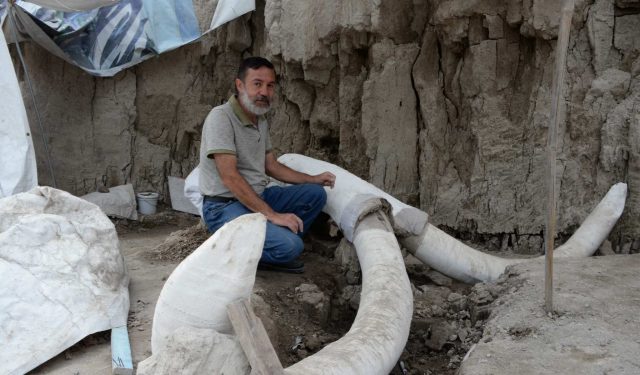 Hallan primera trampa para mamut en Tultepec Dos fosas con más de 800 restos de mamuts fueron encontradas en el municipio mexiquense