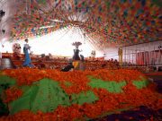 Hidalgo crea el altar de muertos más grande del mundo El Fianciero - Hidalgo crea el altar de muertos más grande del mundo