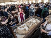 Descubren varias estatuas y momias de león en Egipto Momias. La jornada