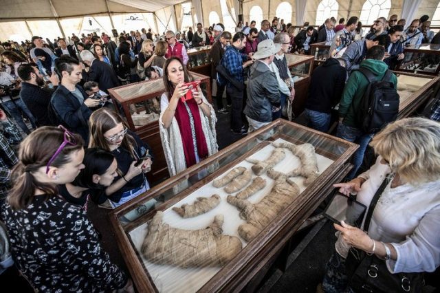 Descubren varias estatuas y momias de león en Egipto Momias. La jornada