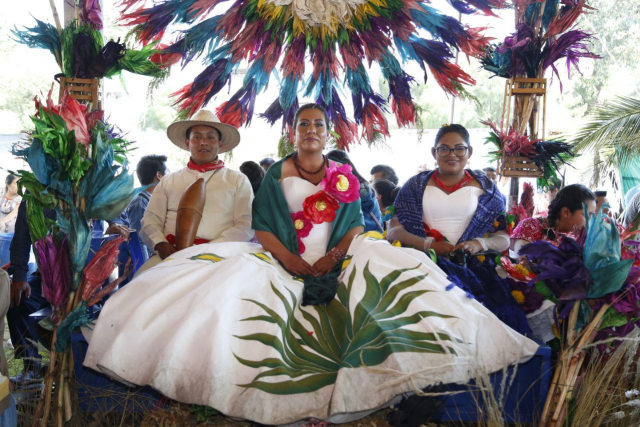 Celebran en Canoa la 7ª Feria del Maíz y el Pulque Reto Diario - Celebran en Canoa la 7ª Feria del Maíz y el Pulque