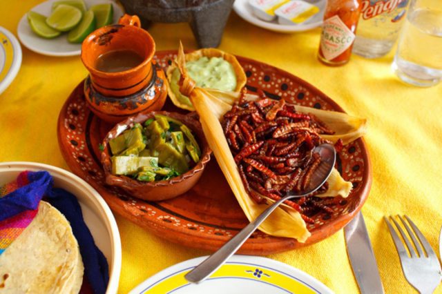 Hidalgo anuncia la Feria gastronómica y el Festival de Pueblos con sabor Revista Vía México - Hidalgo anuncia la Feria gastronómica y el Festival de Pueblos con sabor