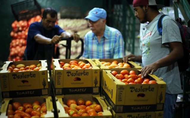 EUA impone nuevas inspecciones a importaciones de tomate mexicano Buscan autoridades de EUA impedir el acceso del virus rugoso