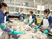 Despiden a 400 empleados de fábricas de plásticos