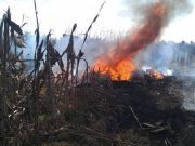Accidente o venganza de «Dios»