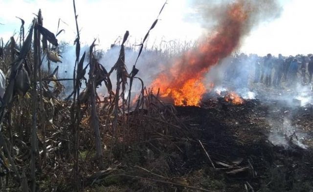 Accidente o venganza de «Dios»