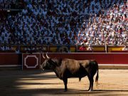Buscarán prohibir corridas de toros y peleas de gallo en Puebla El Salto - Buscarán prohibir corridas de toros y peleas de gallo en Puebla