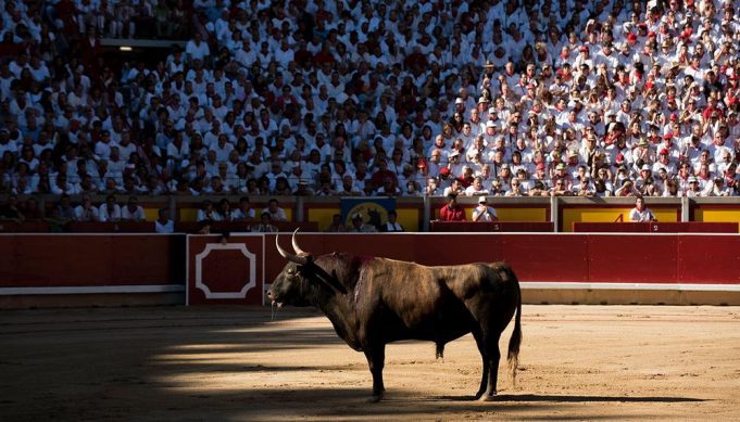 El Salto - Buscarán prohibir corridas de toros y peleas de gallo en Puebla