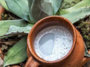 Se inaugurará exposición sobre el pulque en Hidalgo Gourmetdemexico - Se inaugurará exposición sobre el pulque en Hidalgo