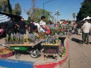Bazar Navideño es un gran éxito en Sonora InfoSon - Bazar Navideño es un gran éxito en Sonora