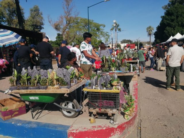 Bazar Navideño es un gran éxito en Sonora InfoSon - Bazar Navideño es un gran éxito en Sonora