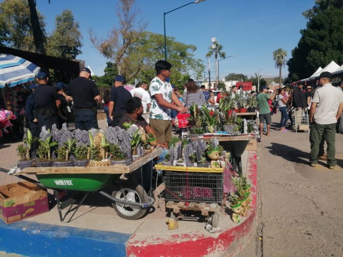 InfoSon - Bazar Navideño es un gran éxito en Sonora
