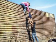 Llega la exposición World Press Photo 2019 a la galería del palacio municipal Milenio - Llega la exposición World Press Photo 2019 a la galería del palacio municipal