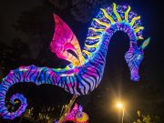 Todo listo para el desfile de alebrijes luminosos en el Zócalo de la CDMX