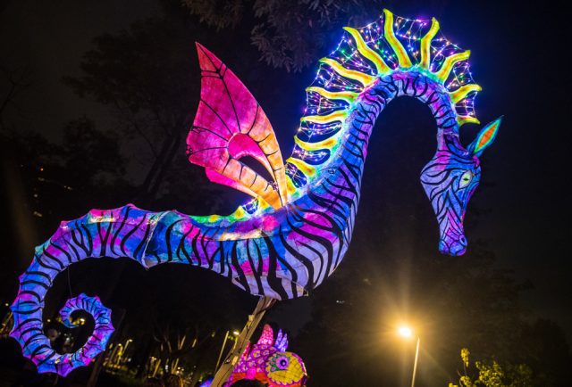 Todo listo para el desfile de alebrijes luminosos en el Zócalo de la CDMX