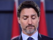 Trudeau se dice indignado y furioso por el derribo de avión ucraniano Business Insider - Trudea se dice indignado y furioso por el derribo de avión ucraniano