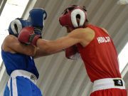 Hidalgo albergará regionales de boxeo y tiro con arco Diario Vía Libre - Hidalgo albergará regionales de boxeo y tiro con arco