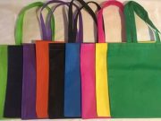 Iniciarán operativos de verificación de bolsas el 20 de enero