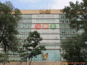 Se perdieron más de 382 mil empleos en diciembre: IMSS