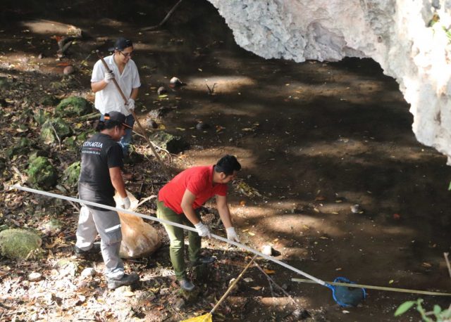 Inician jornadas de saneamiento de cenotes urbanos en Quintana Roo