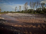 Ordena SCJN reabrir Fideicomiso Río Sonora