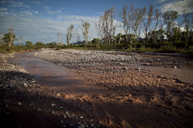 Ordena SCJN reabrir Fideicomiso Río Sonora
