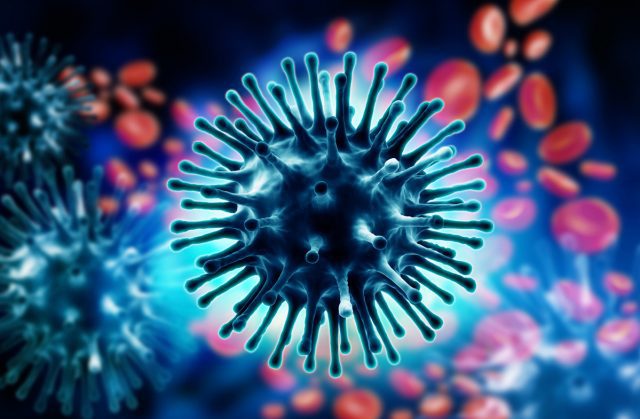 En Hidalgo van 7 muertos por influenza Telemundo 51 - En Hidalgo van 7 muertos por influenza