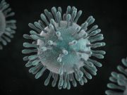 Detectan nuevo coronavirus en China Detectan nuevo coronavirus en China