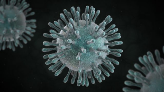 Detectan nuevo coronavirus en China Detectan nuevo coronavirus en China