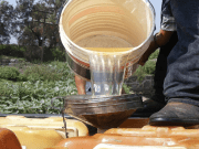 Autoridades de Hidalgo decomisaron más de 50 mil litros de combustible robado